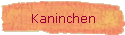 Kaninchen